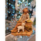 Callum, the Sitting Shepherd Father - Fontanini® 5" Collection