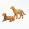 Dogs, Set of 2 - Fontanini® 5" Collection
