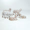 White Sheep, Set of 5 - Fontanini® 5" Collection