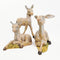 Donkey Family, Set of 3 - Fontanini® 5" Collection