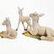 Donkey Family, Set of 3 - Fontanini® 5" Collection