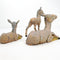 Donkey Family, Set of 3 - Fontanini® 5" Collection