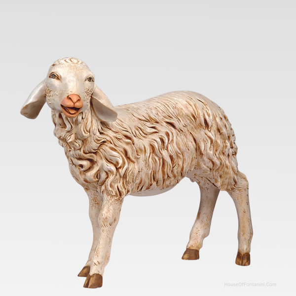 Standing Sheep - Fontanini® 50" Collection