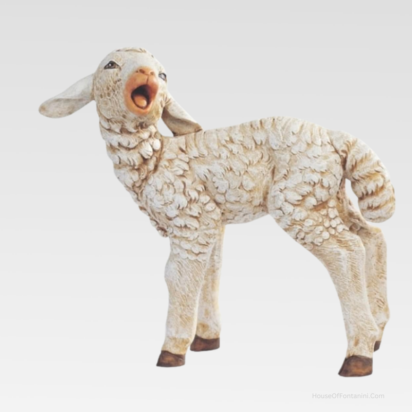 Standing Sheep, Head Turned - Fontanini® 50" Collection