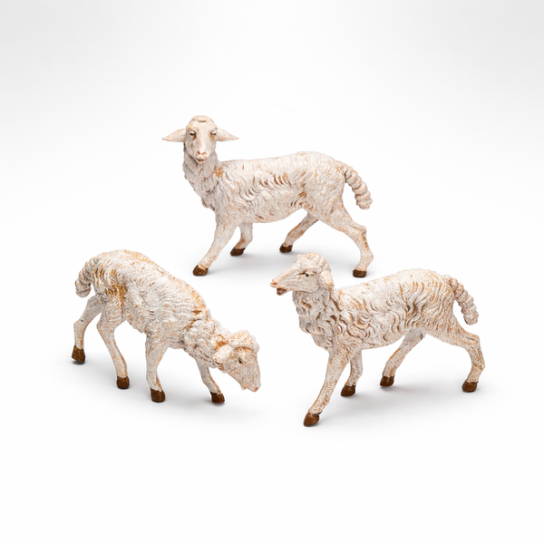 White Sheep, Set of 3 - Fontanini® 7.5" Collection