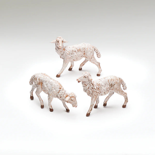 White Sheep, Set of 3 - Fontanini® 7.5" Collection