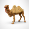 Standing Camel - Item 52944 - Fontanini® 12" Collection