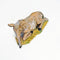 Seated Donkey - Fontanini® 5" Collection