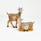 Goats, Set of 2 - Fontanini® 5" Collection
