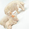 Pig Family, Set of 3 - Fontanini® 5" Collection
