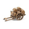 CART with Barrels - Fontanini® 5" Collection