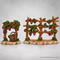 Bethlehem Vineyard Farm Bundle for Fontanini Nativity Village