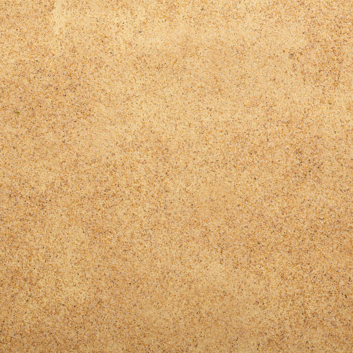 Desert Landscaping Accessory 18x36 - Fontanini® 5" Collection