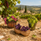 3 Piece Grape Vineyard Basket Set - Fontanini® 5" Collection