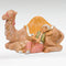 Cyrus, Boy With Camel - Fontanini® 5" Collection