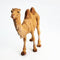 Standing Camel - Fontanini® 5" Collection