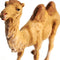 Standing Camel - Fontanini® 5" Collection
