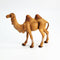 Standing Camel - Fontanini® 5" Collection